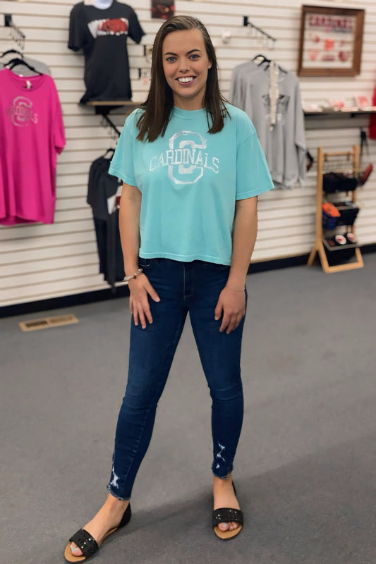 Glitter Cardinal Mint Crop Top