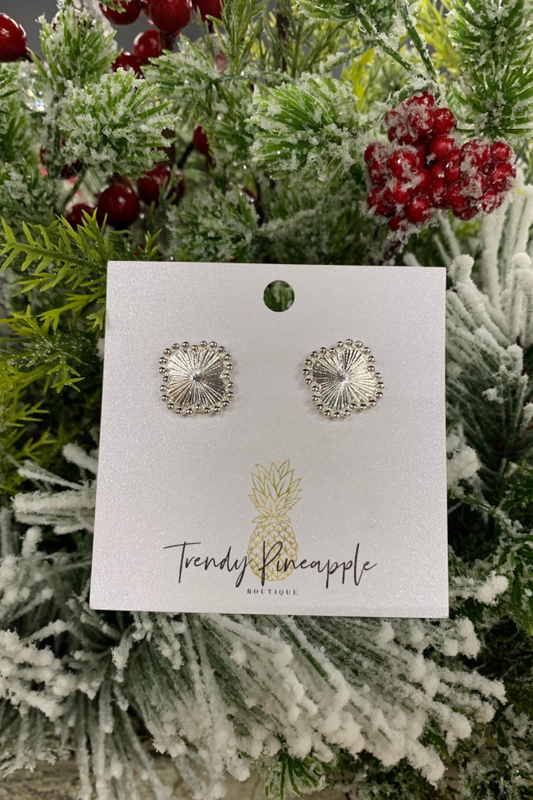 Silver Radiance Stud Earrings