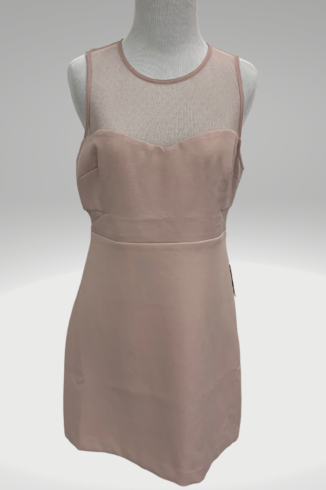 Express Light Pink Dress