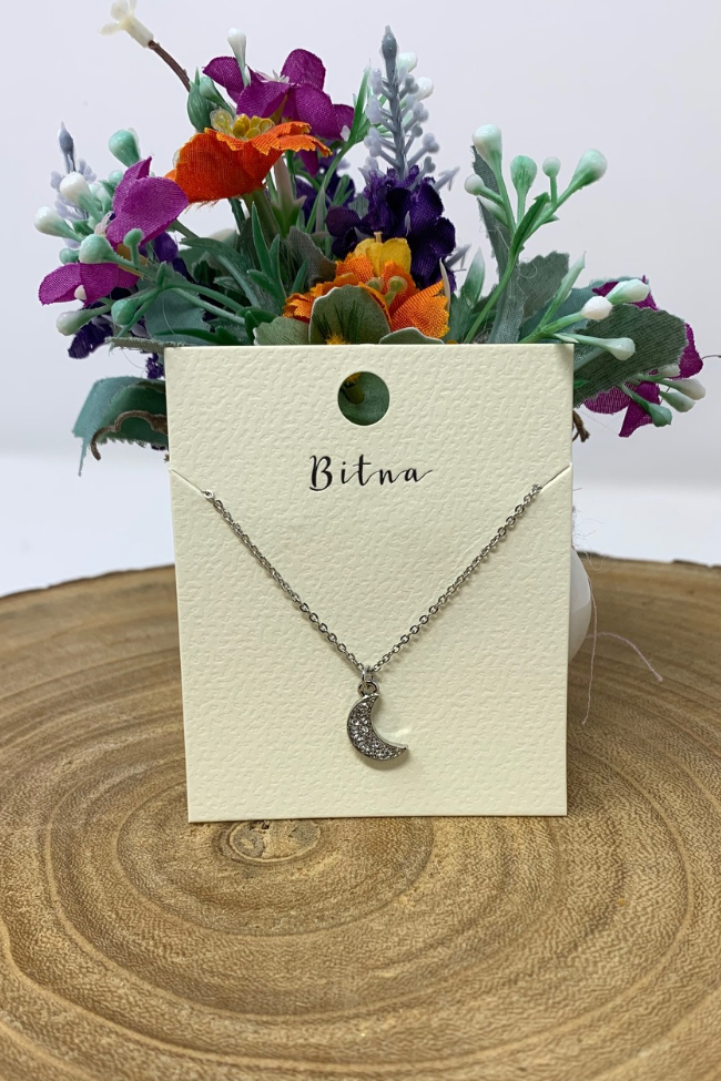 Silver Crescent Moon Necklace