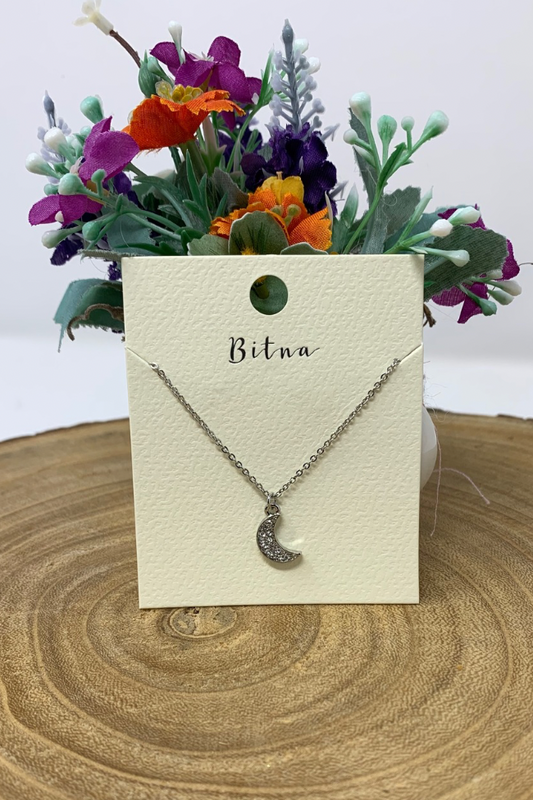 Silver Crescent Moon Necklace